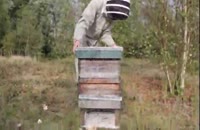 آموزش زنبورداری از سیر تا پیاز 02128423118-09130919448- wWw.118File.Com