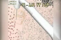 کلیپ انیمیشن کاشت مو به روش SUT (4).mp4