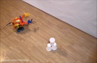 ربات کارگر NetRobic ربوچیپ RoboChip