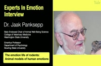 Experts in Emotion 3.3 -- Jaak Panksepp on Animal Models of Human Emotion