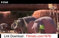 دانلود انیمیشن فیلشاه با کیفیت عالی از شبکه خانگی.