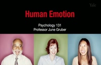 (Human Emotion 18.3: Emotion and Health III (Psychotherapy