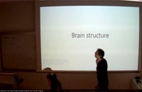 Human Neuroscience Methods