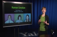 (Human Emotion 11.1: Emotion and Morality (Introduction