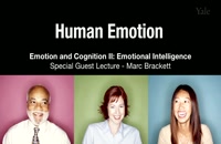 (Human Emotion 12.2: Emotion and Cognition II (Emotional Intelligence