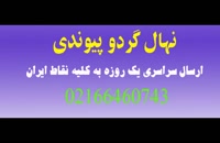 نهال گردو چندلر در تهران 09121270623 - خرید نهال - فروش نهال - قیمت نهال