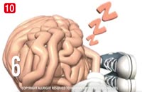 10 واقعیتی که درمورد مغز نمی دانید