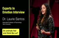 Experts in Emotion 3.1 -- Laurie Santos on Do Animals Feel and Think Like Us