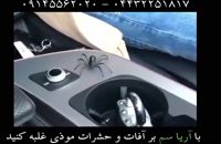 ویدئو خنده دار از ترس از عنکبوت