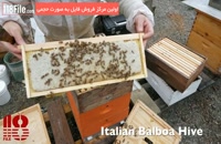 دوره آموزش پرورش زنبور عسل بصورت کامل