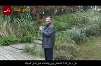 ایران کانتین: شنل نامرئی هم ساخته شد!