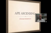 053047 - مهندسی سیستم ها سری دوم Ape Ascending