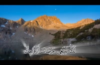 ترجمه تصویری سوره تحریم