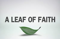 دانلود زیرنویس فارسی فیلم A Leaf of Faith 2018